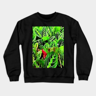 Indoor Plants - Maranta Leuconeura Crewneck Sweatshirt